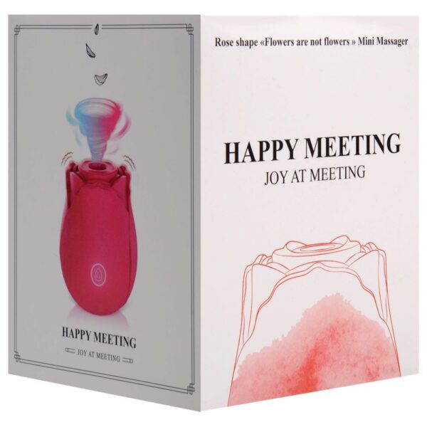 ROSA ESTIMULADORA DE CLITÓRIS COM PULSAÇÃO - Imagem 8